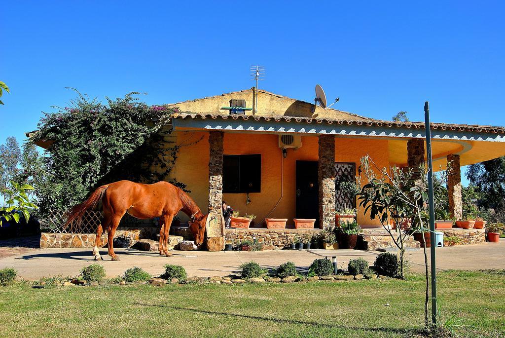 Agriturismo Monte Majore Siliqua Exterior photo